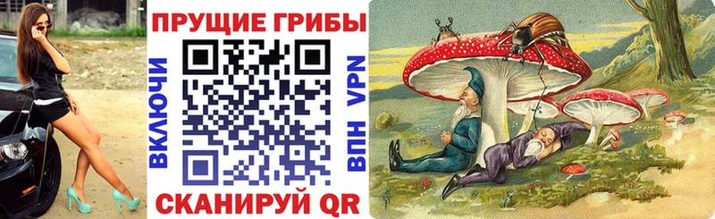 сайты даркнета Telegram  Воронеж  Галлюциногенные грибы Magic Shrooms  продажа наркотиков 