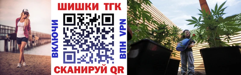 купить наркотик  Воронеж  Конопля сатива 